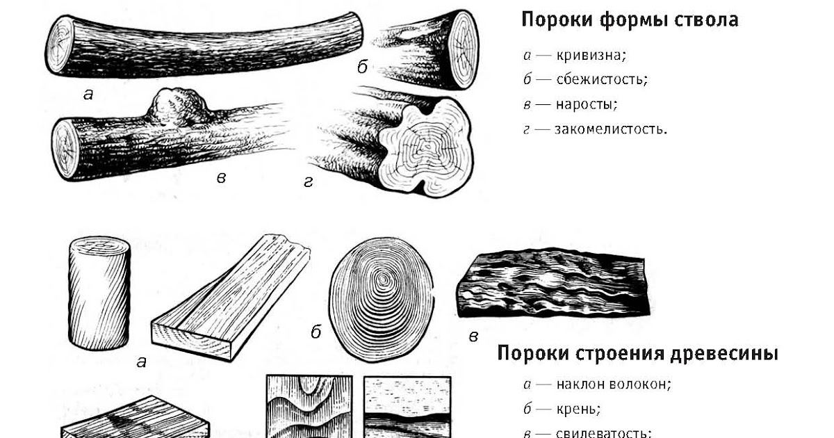 Пороки древесины фото с описанием