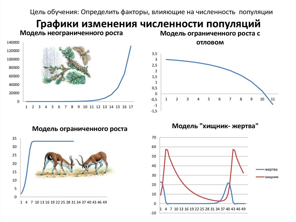 Как изменится численность мышей и коз. Сезонный Тип динамики численности популяций. Моделирование динамики популяции. Динамика численности популяции хищника и жертвы. Модель хищник жертва математическое моделирование.