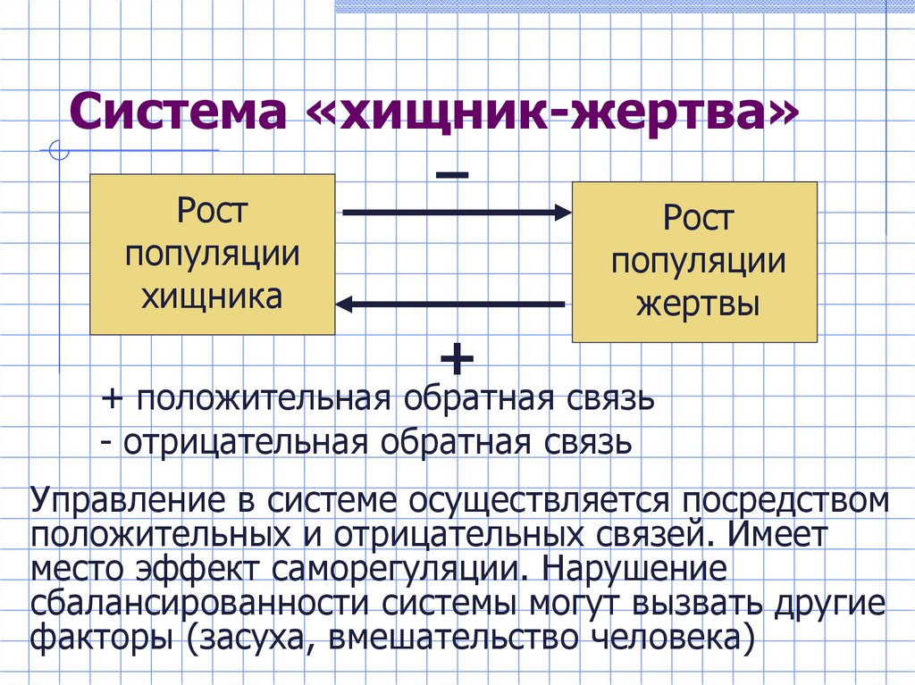 Отрицательная связь. Отрицательная Обратная связь примеры. Отрицательная Обратная связь примеры биология. Обратные связи в системе экологии. Положительная Обратная связь примеры.