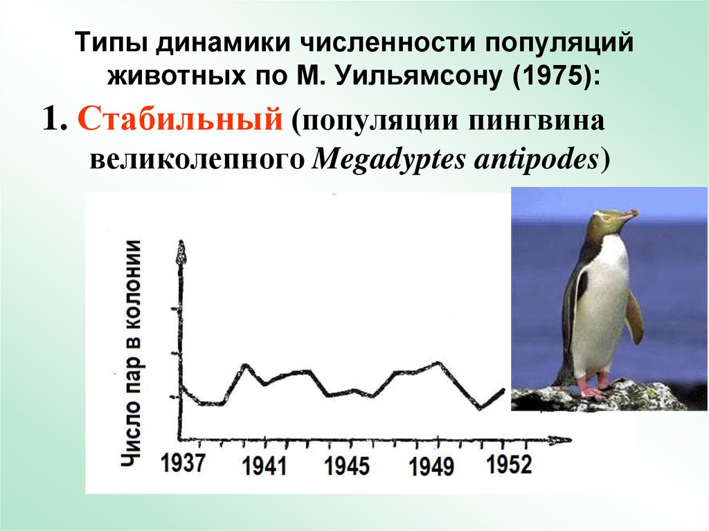 Изменение численности особей популяции называют. Стабильный Тип динамики популяции примеры. Динамика численности популяции животных. Типы популяционной динамики численности. Динамика популяции пингвинов.
