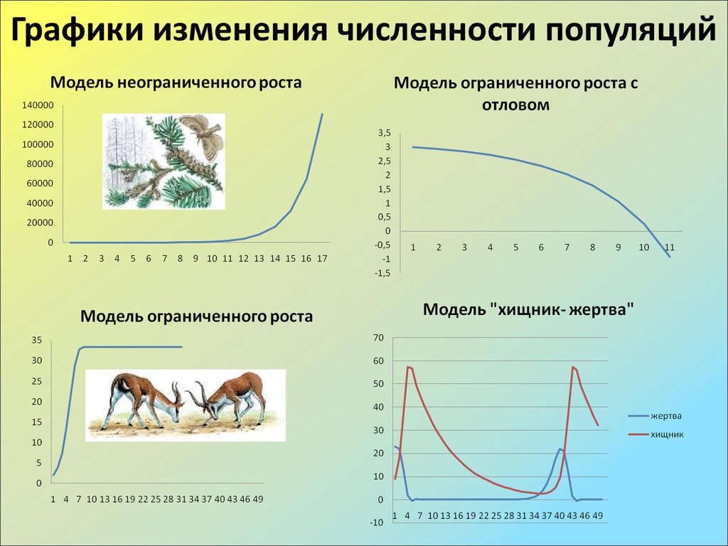 Изображать измениться. Графики изменения численности популяций. Динамика популяции презентация. График динамики численности популяции. График изменения численности популяции.