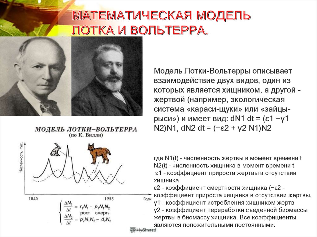 Математик модель. Модель лотки-Вольтерра хищник-жертва. Модель лотки Вольтерра. Уравнение лотки-Вольтерра хищник-жертва. Модель хищник жертва лотки Вольтерра график.