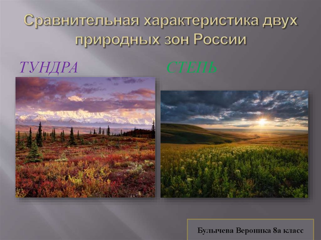 Климат тундры и степи. Климатическая зона тундра. Природная зона тундра климат. Природные зоны России тундра степи. Сравнить тундру и степь.