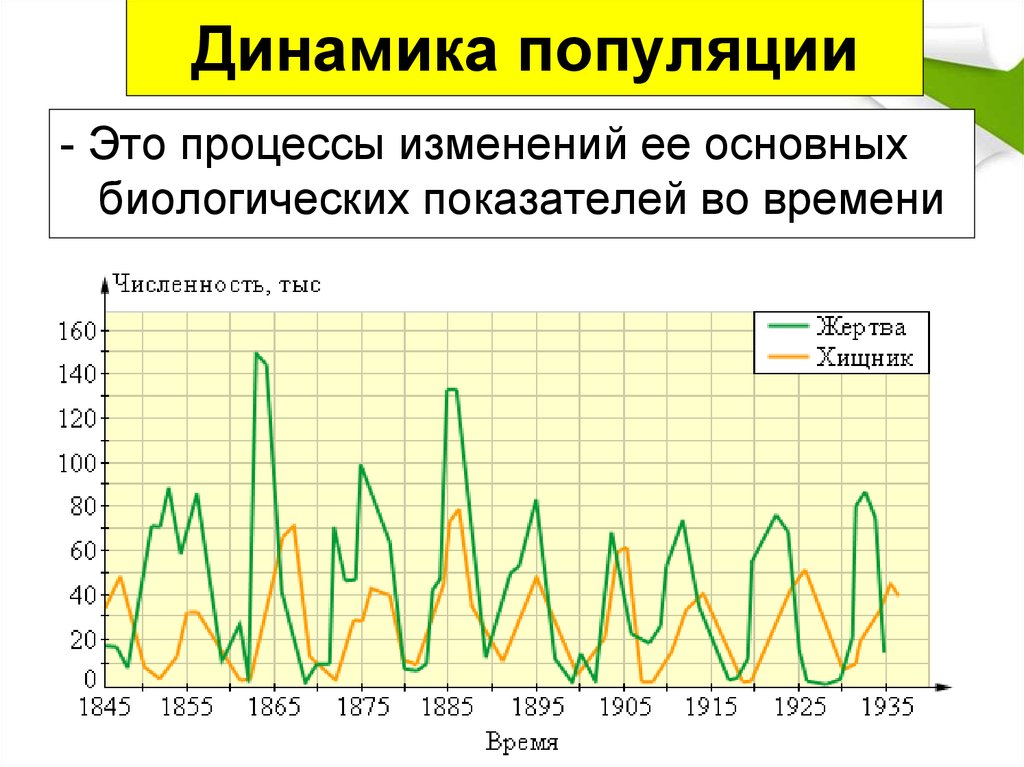 Численность популяции. Динамика популяции. Факторы популяционной динамики. Динамика численности популяции. Графики динамики популяций.