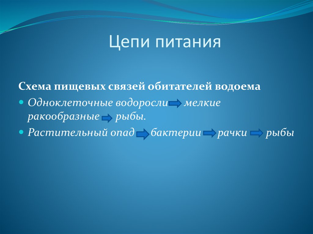 Цепь питания водоема