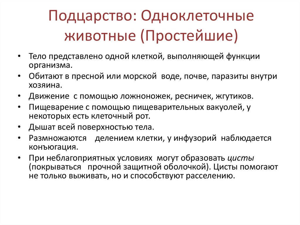 Характеристика простейших