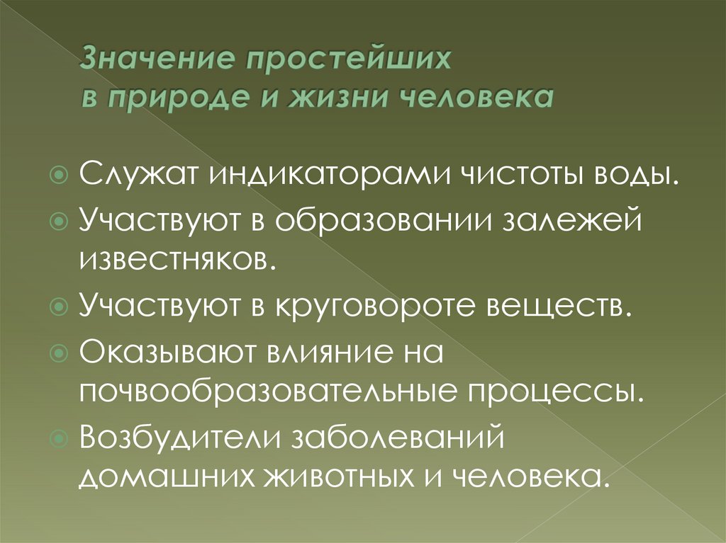 План конспект значение простейших в природе и жизни человека