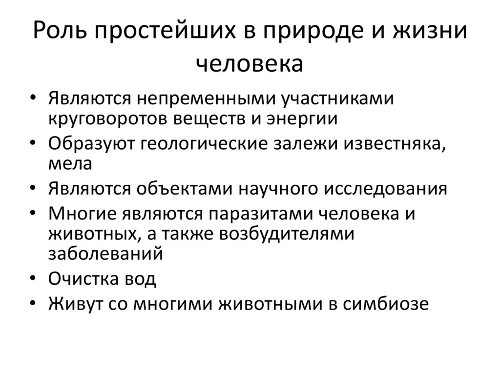 Многообразие простейших в природе жизни человека