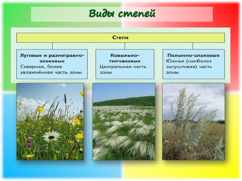 Типы растительности презентация по биологии
