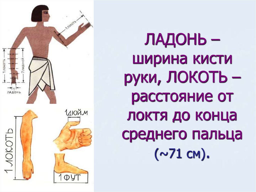 Греческая мера. Мера измерения локоть. Измерение локтем в Египте. Локоть (единица длины). Древнеегипетские меры длины.