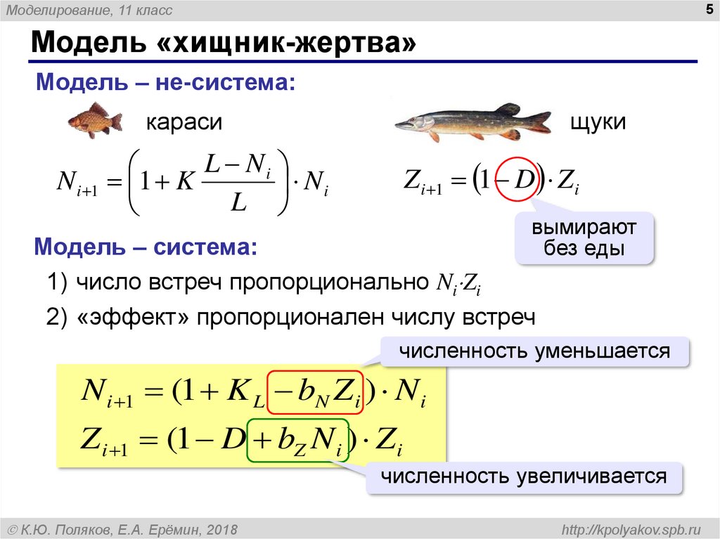 Моделирование 11 класс. Модель хищник-жертва модель Вольтерра. Математическое моделирование системы «хищник-жертва». Модель хищник жертва формула. Модель хищник жертва график.