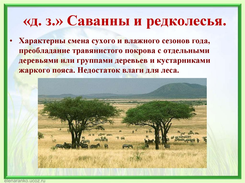 Саванны какая природная зона. Животные саванны и редколесья природные зоны Австралии. Саванны и редколесья Австралии на карте. Саванны и редколесья Африки на карте. Характеристика саванны и редколесья.