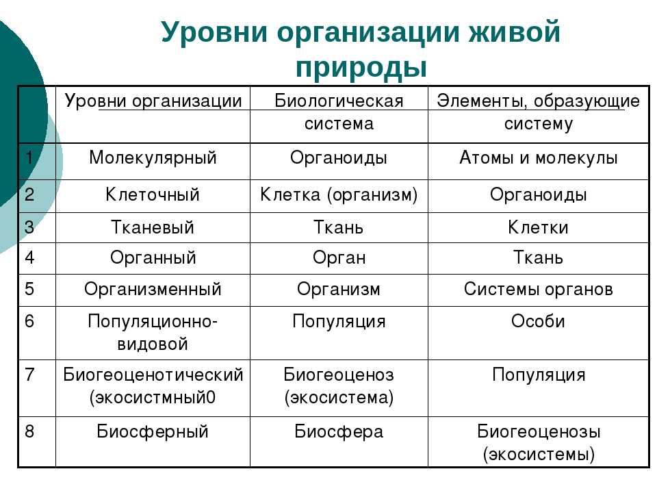 Соотнесите картинки и названия рас