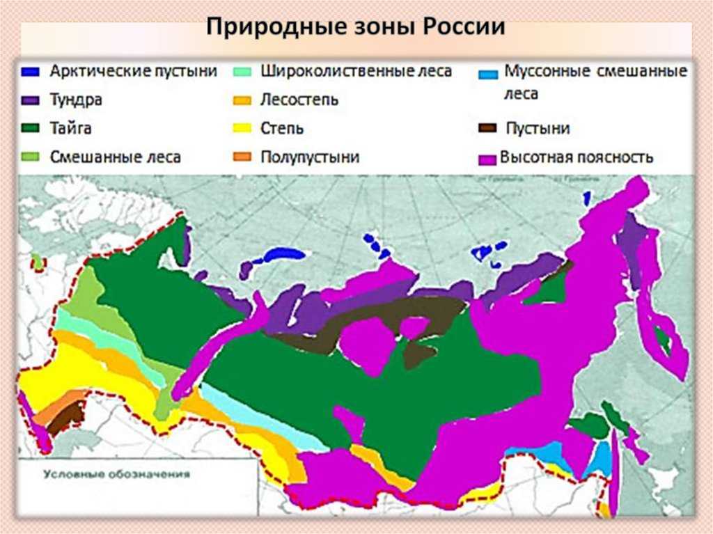 Природная зона распространения. Географическая карта России с природными зонами. Карта природных зон России субтропики. Природные зоны и подзоны России. Зона леса на карте России.