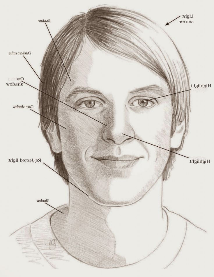 Свет и тень в изображении головы человека изо 6 класс