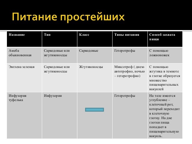 Питание простейших. Амеба Тип питания автотрофный или гетеротрофный. Типы и способы питания жгутиконосцев. Тип питания амебы обыкновенной.