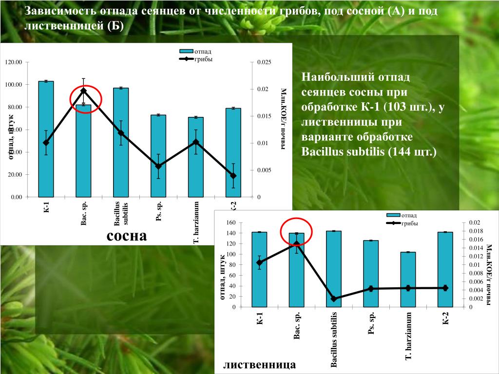 Увеличение количества текста