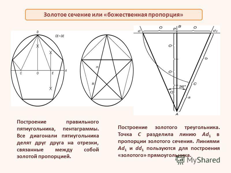 Диагонали правильного пятиугольника
