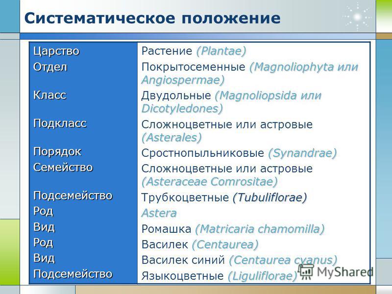 Систематическое положение растений