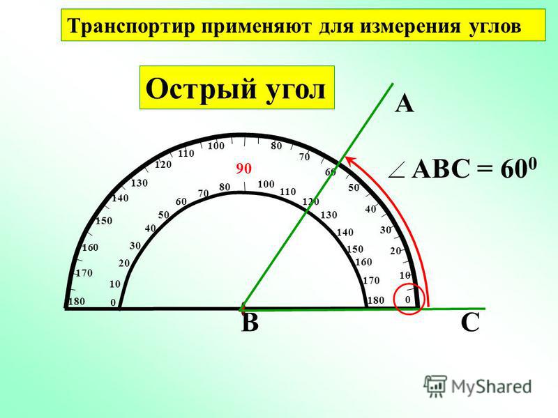 Как измерять транспортиром