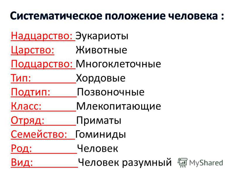 Последовательность таксонов используемых в систематике человека. Человек царство Тип класс отряд семейство. Царство Подцарство Тип класс отряд семейство род вид. Эукариоты Таксон.