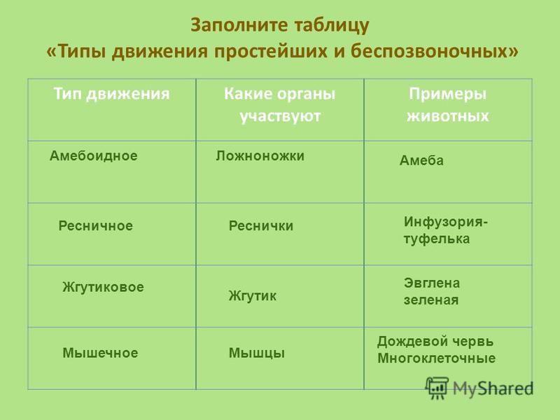 Сравнительная характеристика одноклеточных животных таблица