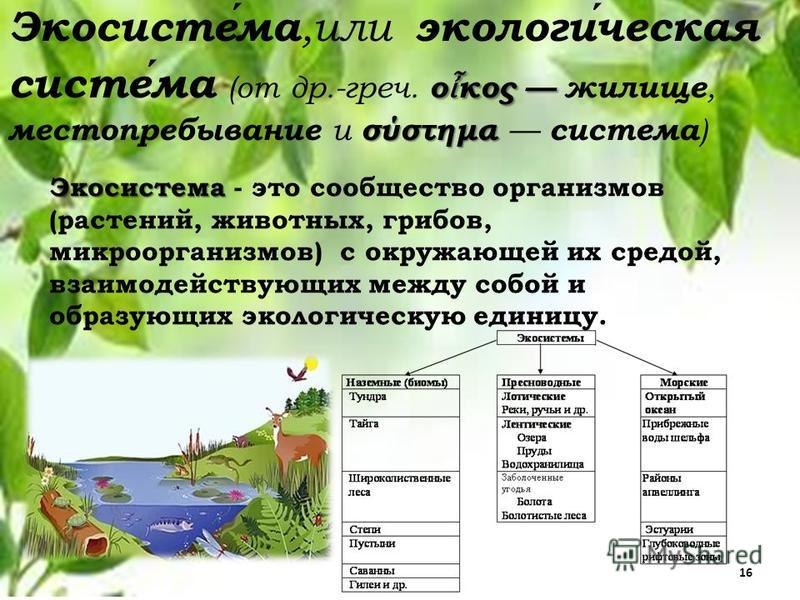 Проект экосистема детства