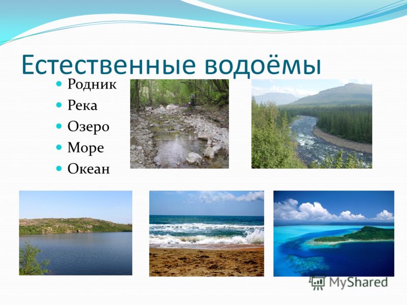 Водоем море озеро. Естественные водоемы. Естественныек водоёмы. Естественные водоемы примеры. Водоемы делятся на.