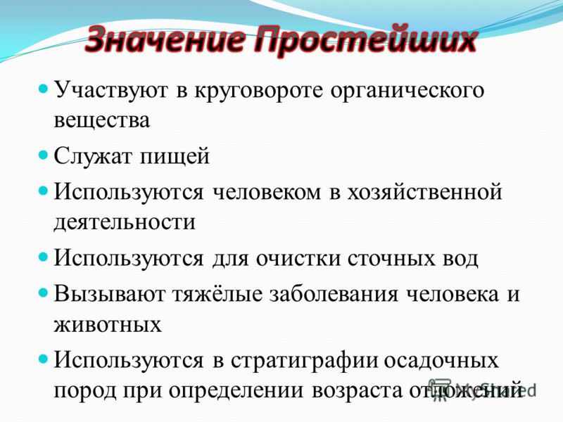 План значение. Каково значение простейших. Выписать значение простейших. Значение простейших в природе. Значение простейших в жизни человека.