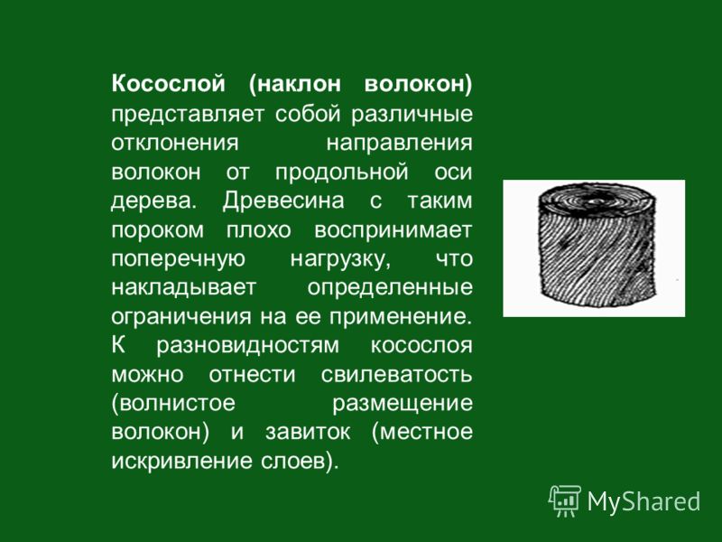 Пороки древесины наклон волокон. Пороки древесины косослой. Тангенциальный наклон волокон древесины.