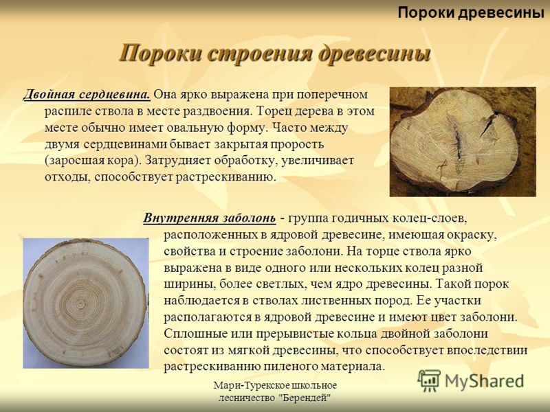 Чем являются слова порог порок и парок. Пороки древесины прорость. Пороки древесины сердцевина. Пороки древесины двойная сердцевина. Пороки строения ствола древесины.