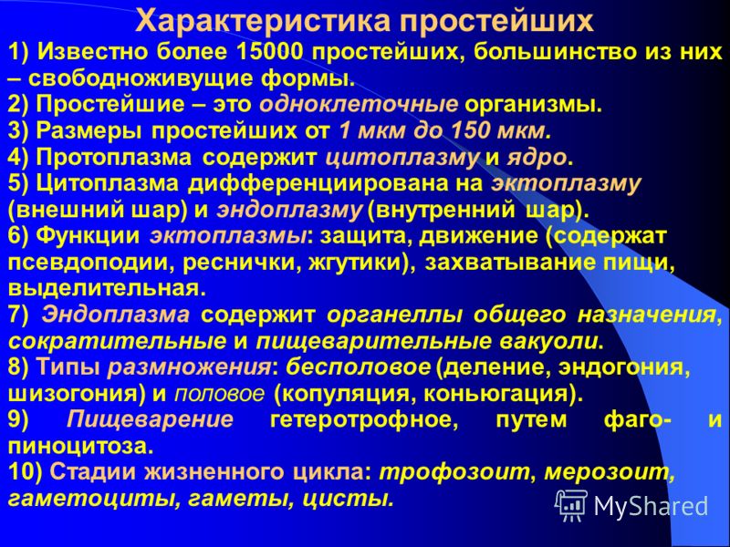 Краткая общая характеристика. Общая характеристика простейших. Краткая характеристика простейших. Дать общую характеристику простейших. Общая характеристика простейших кратко.