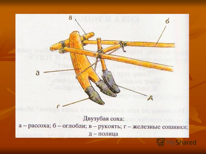 Плуг сканворд. Двузубая Соха в древней Руси. Оха. Деревянная Соха с железным сошником. Устройство сохи.