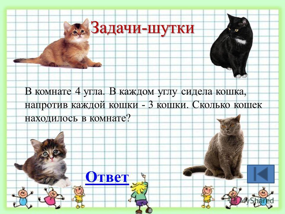 Напротив каждой кошки по три кошки. Задача про кота. Задачки про кошек. Задачи шутки. Задача на логику с кошками.