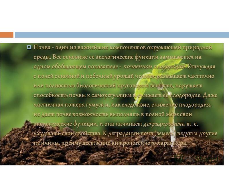 Экологическая роль почв. Индикаторы почвенного плодородия. Почва компонент окружающей среды. Как животные влияют на плодородие почвы. Глобальные экологические функции почв.