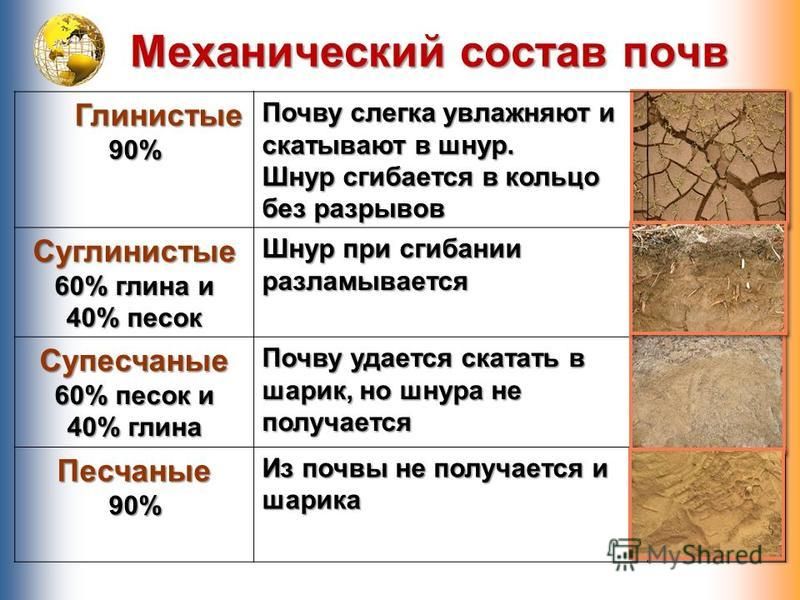 Как выглядит суглинок фото