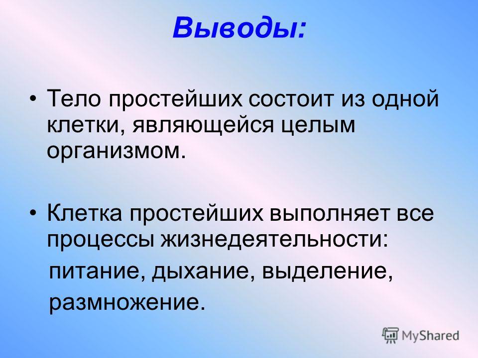 Вывести простейшую. Простейшие вывод. Вывод многообразие простейших. Вывод на тему простейшие. Вывод простейшие животные.