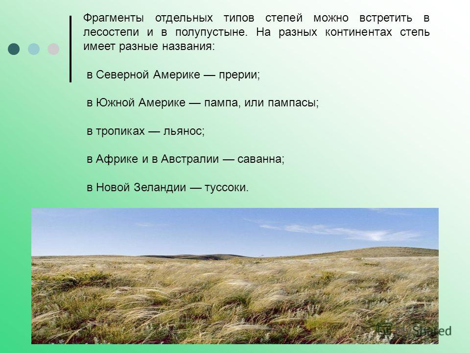 План описания природной зоны степи