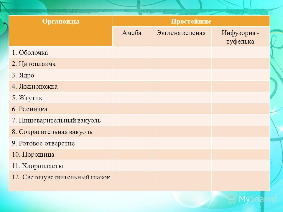 Сходство простейших. Таблица амеба эвглена инфузория туфелька по биологии 7. Сравнительная таблица амеба эвглена зеленая инфузория туфелька. Сравнительная таблица амебы эвглены и инфузории. Таблица эвглена зеленая амёба и инфузория.