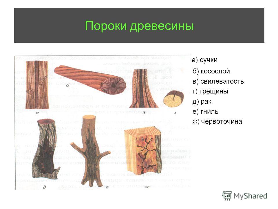 Презентация классификация пороков древесины