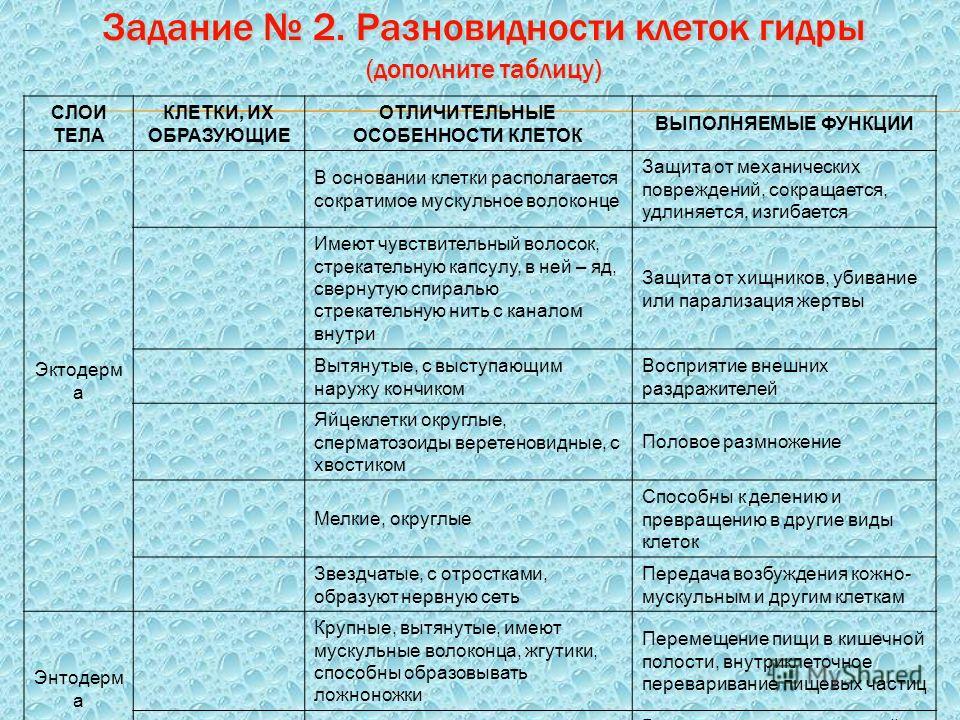 Выполняемые функции особенности