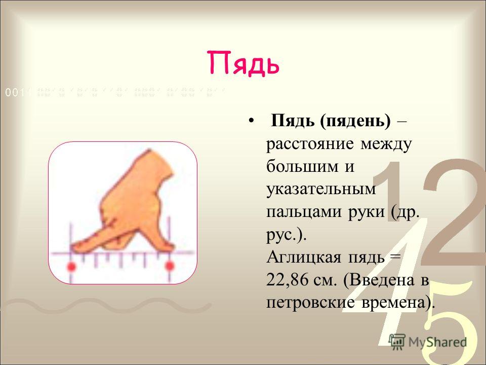 Каждая пядь земли