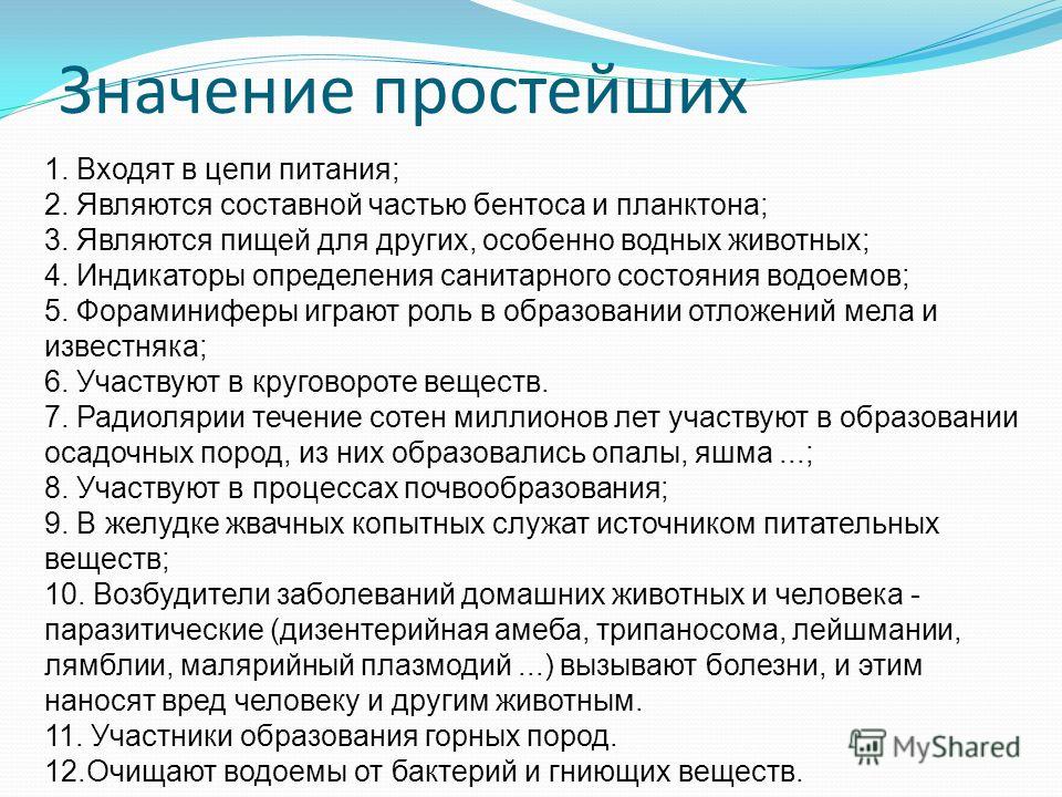 План конспект значение простейших в природе и жизни человека