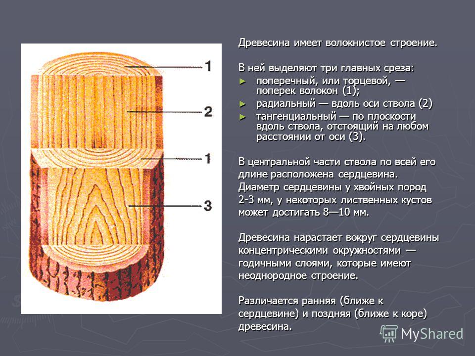 Что такое срез