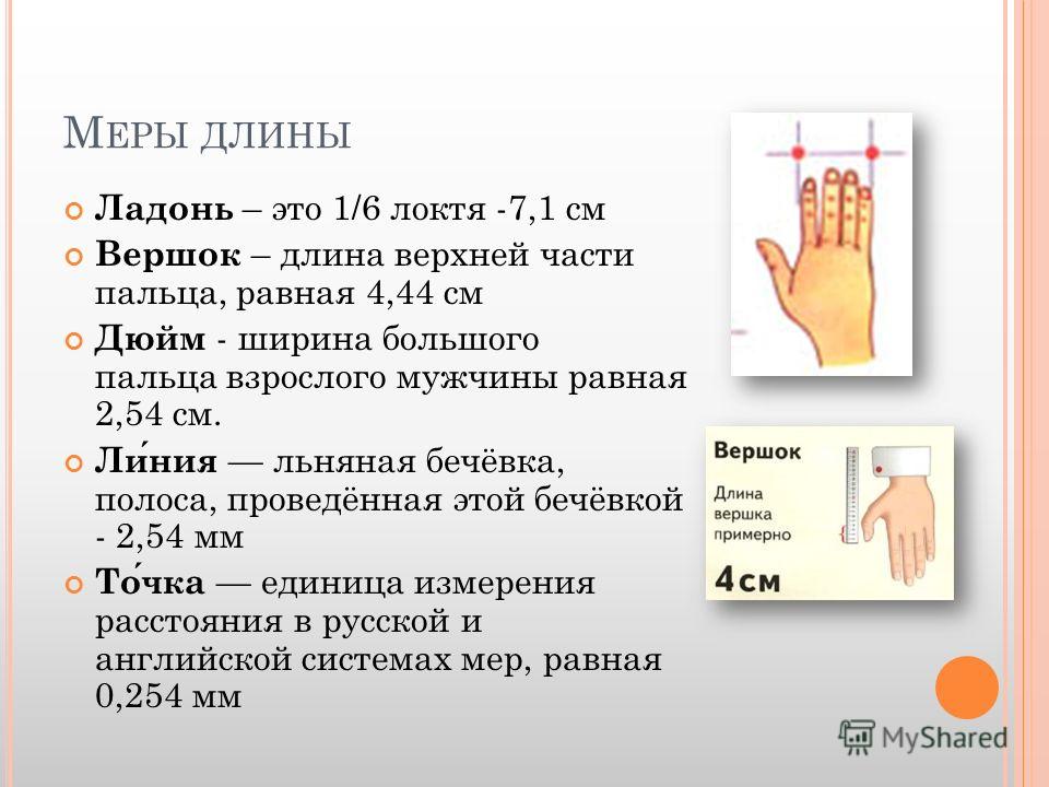 Английская мера длины равная. Ладонь мера длины. Длина вершка. Вершок мера длины. Ладонь мера длины в сантиметрах.