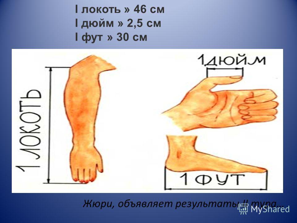 Локоть мера длины картинка