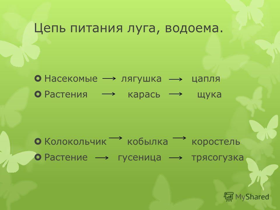 2 3 цепи питания