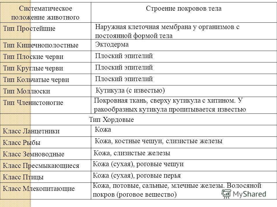 Систематическое положение животных. Таблица строение покровов тела 7 класс. Таблица по биологии 7 класс строение покровов тела. Особенности Покрова тела простейших. Таблица по биологии покровы тела 7 класс таблица.