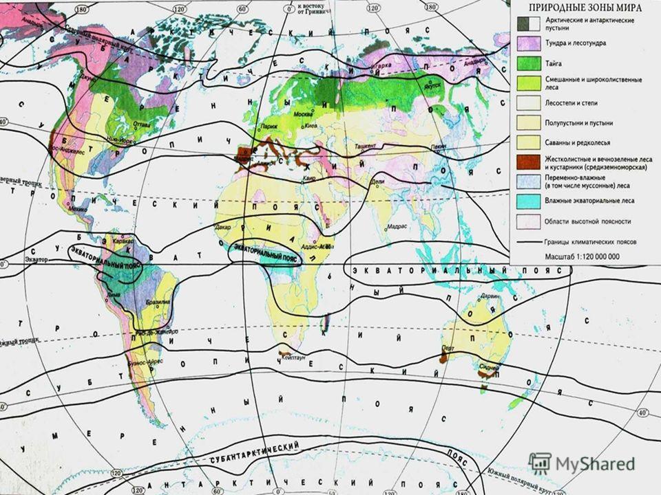 Подпишите климатические пояса