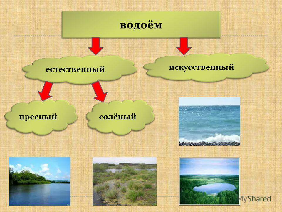 Естественное водохранилище. Какие бывают водоемы. Водоемы бывают искусственные и Естественные. Какие бывают пресные водоемы. Естественные и исксственные водоёмы.